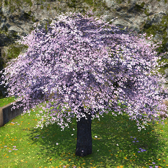 Authentic Eastern Cherry TreeHousingMog Station ItemsFINAL FANTASY